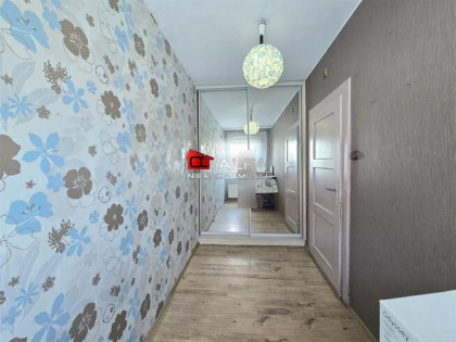 Mieszkanie Jaworzyna Śląska