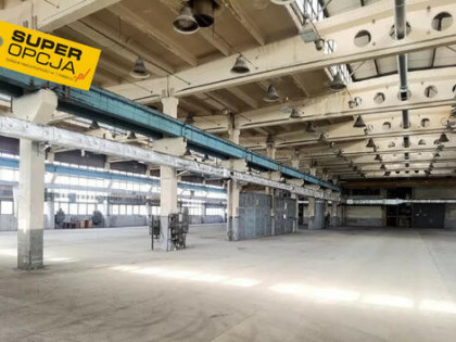 Lokal użytkowy Olkusz,