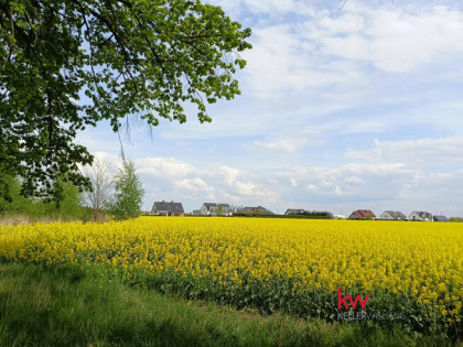 Działka budowlana Mrowino gm. Rokietnica, Tarnowska