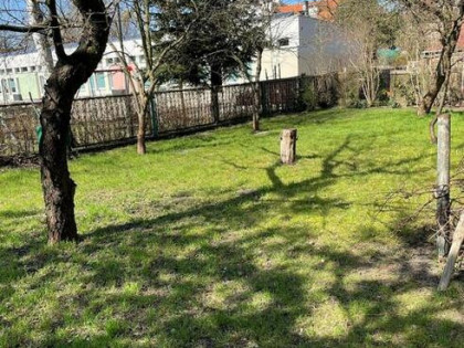 Do wynajęcia dom we Wrocławiu