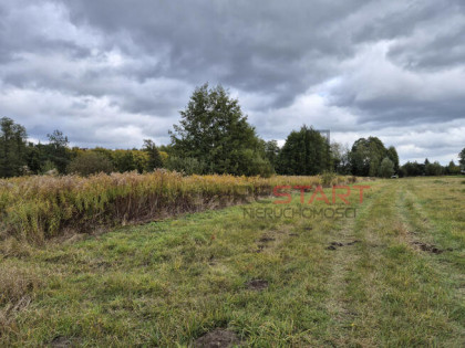 Działka budowlana Kozerki gm. Grodzisk Mazowiecki,