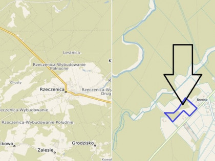 Działka Dzików Dzików