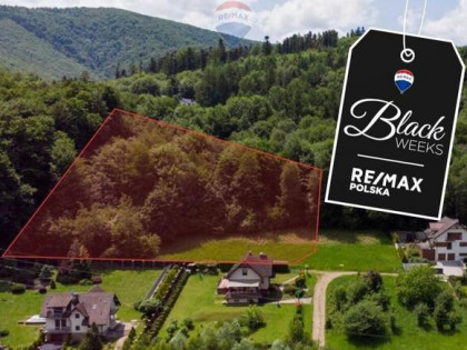 BLACK WEEKS - Najwyższa działka pod Czantorią