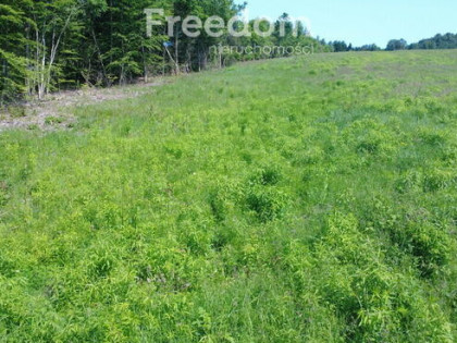Działka budowlana w Konikowie