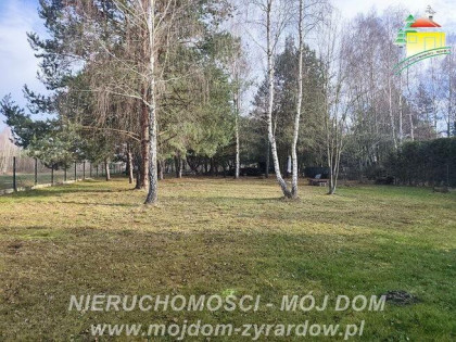 Działka rolno-budowlana Antoniew gm. Wiskitki