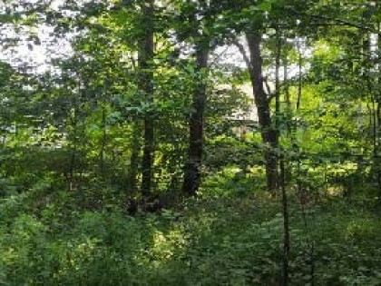 Nieruchomość niezabudowana - Bielsko-Biała