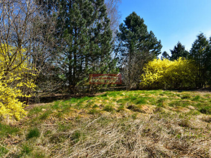 Maszyce-ustawna działka z mediami