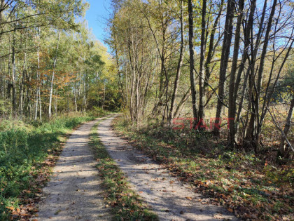 Działka budowlana Radziejowice,