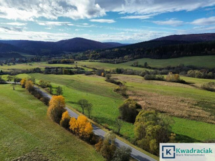 Działka rolna Daliowa gm. Jaśliska,