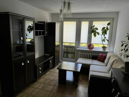 Do wynajęcia mieszkanie 2-pokojowe Winogrady