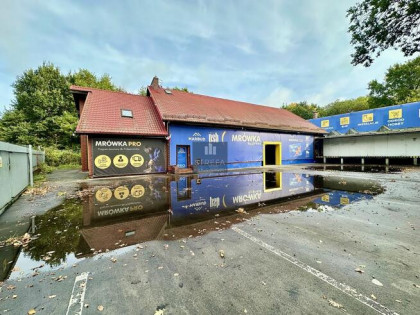 Lokal użytkowy Szczecin Krzekowo, Modra