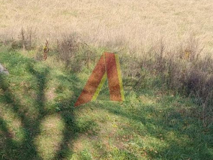 Działka rekreacyjna Kraków Podgórze, Rybitwy, Pod Wierzbami