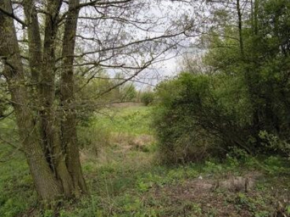 Działka rolna Janów/Karczew