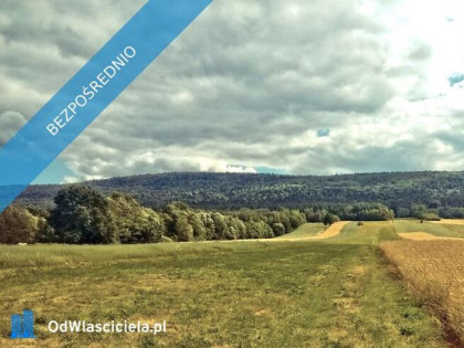 Dom+bud. gosp.+duża działka