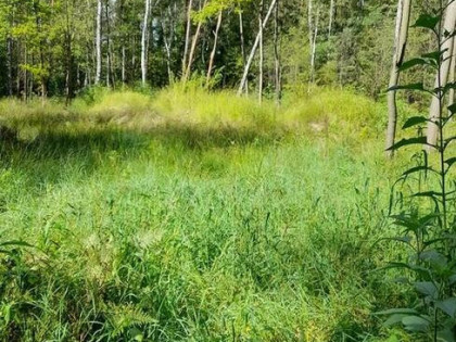 Piękna działka z aktywnym pozwoleniem na budowę