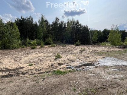 Działka w sąsiedztwie lasu Górsk/Czarne Błoto
