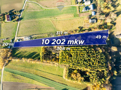 Działka z bijącym źródłem i kawałkiem lasu