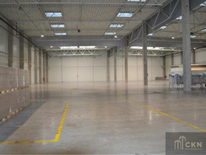 Lokal użytkowy Kraków Podgórze, Rybitwy, Rybitwy