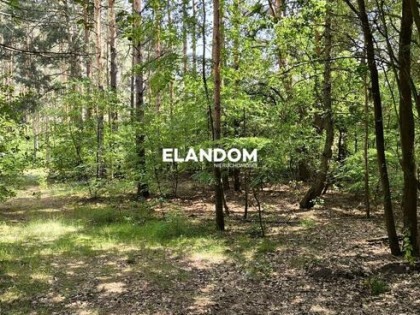 Leśna działka w sąsiedztwie rzeki Świder