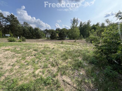 Działka w sąsiedztwie lasu Górsk/Czarne Błoto