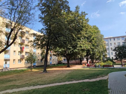 Mokotów: 3 ustawne pokoje + kuchnia, po remoncie