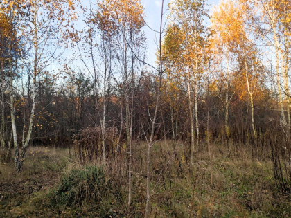 Działka Nowe Mostki ul.  