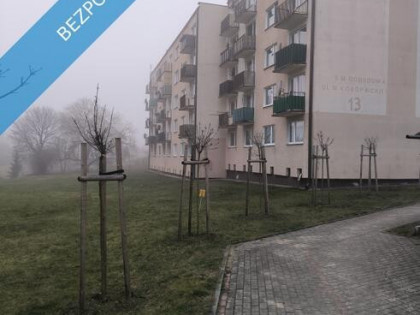 Sprzedam mieszkanie 65m2