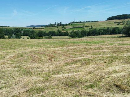 Działka rolna Kobielnik gm. Wiśniowa