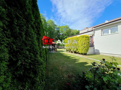 Dom Świdnica, okolice parku