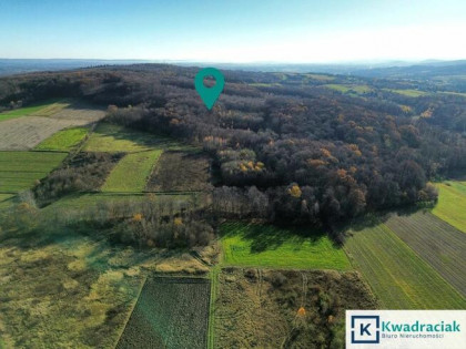 Działka rolna Podniebyle gm. Jedlicze,