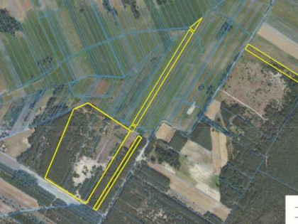 Działka Aleksandrówka gm. Stoczek Łukowski