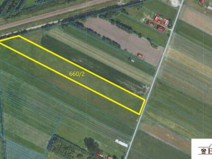 Działka rolno-budowlana Szaniawy-Poniaty gm. Trzebieszów