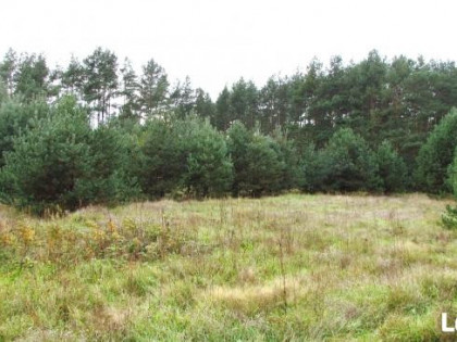 Działki bud. 2400m2 -/25zł m2/, CZARNA gm.Pierzchnica