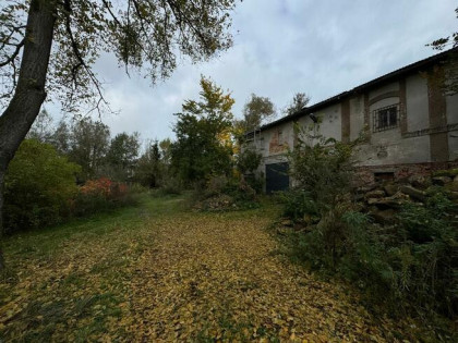 dom budynek Raciborowice-do sprzedaży, wynajmu lub dzierżawy