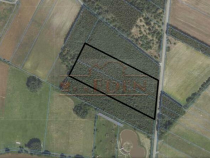 Działka leśna Klimki gm. Łuków