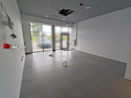 Lokal użytkowy Świdnica, Osiedle Młodych