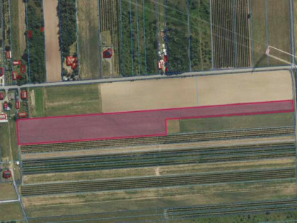 1,72 ha - działka rolna - Sobienie Szlacheckie