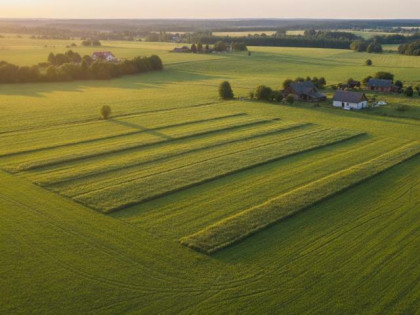 Działka budowlana Sarnów gm. Stanin Sarnów