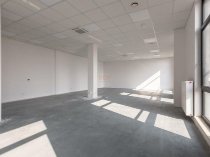 Lokal użytkowy Wrocław Psie Pole, Karłowice, Kępińska