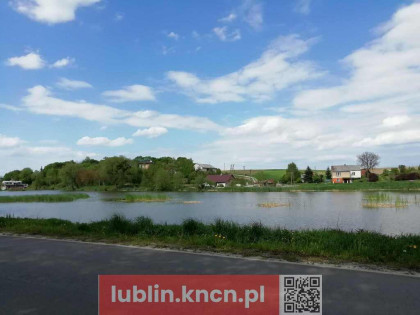 Działka o pow. 4,6 ha w Klementowicach gm. Kurów.