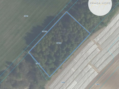 Działka budowlana Zwierzewo gm. Ostróda,