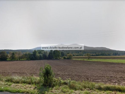 Działka budowlana z lasem w Chwałkowie