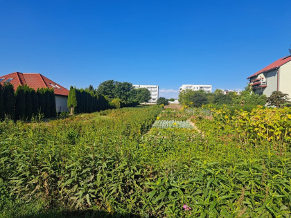 Przetarg - ul. Działkowca 9