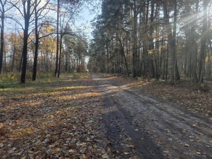 Działka Duchnów ul. Leśny Zakątek