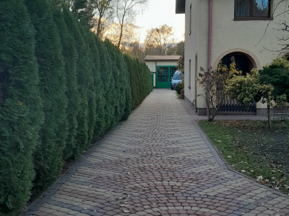 Wynajmę dom 3-piętrowy z opcją hali i biura