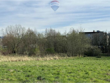 Działka w Mazańcowicach pod ogrodnictwo i uprawy