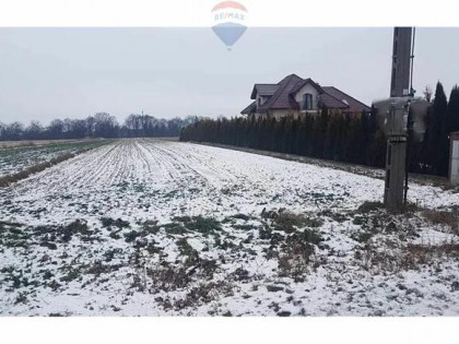 Działka budowlana i las