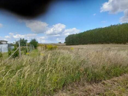 Działka budowlana Choszczno, 124/1 915 m2