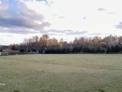 Nowo urządzone mieszkanie 50 m² do wynajęcia w niezależnym