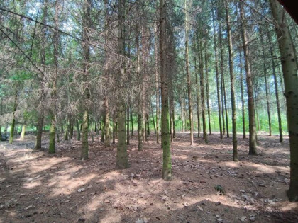 Duża nieruchomość, cele prywatne i inwestycyjne !